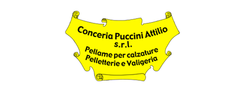 Conceria Puccini Attilio 