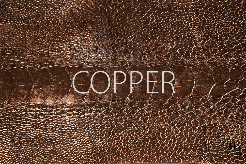 
                  
                    AL Leather - Ostrich Legs
                  
                